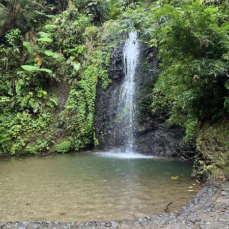 Le Ketmie Nature Et Decouverte Fond-Saint-Denis 外观 照片