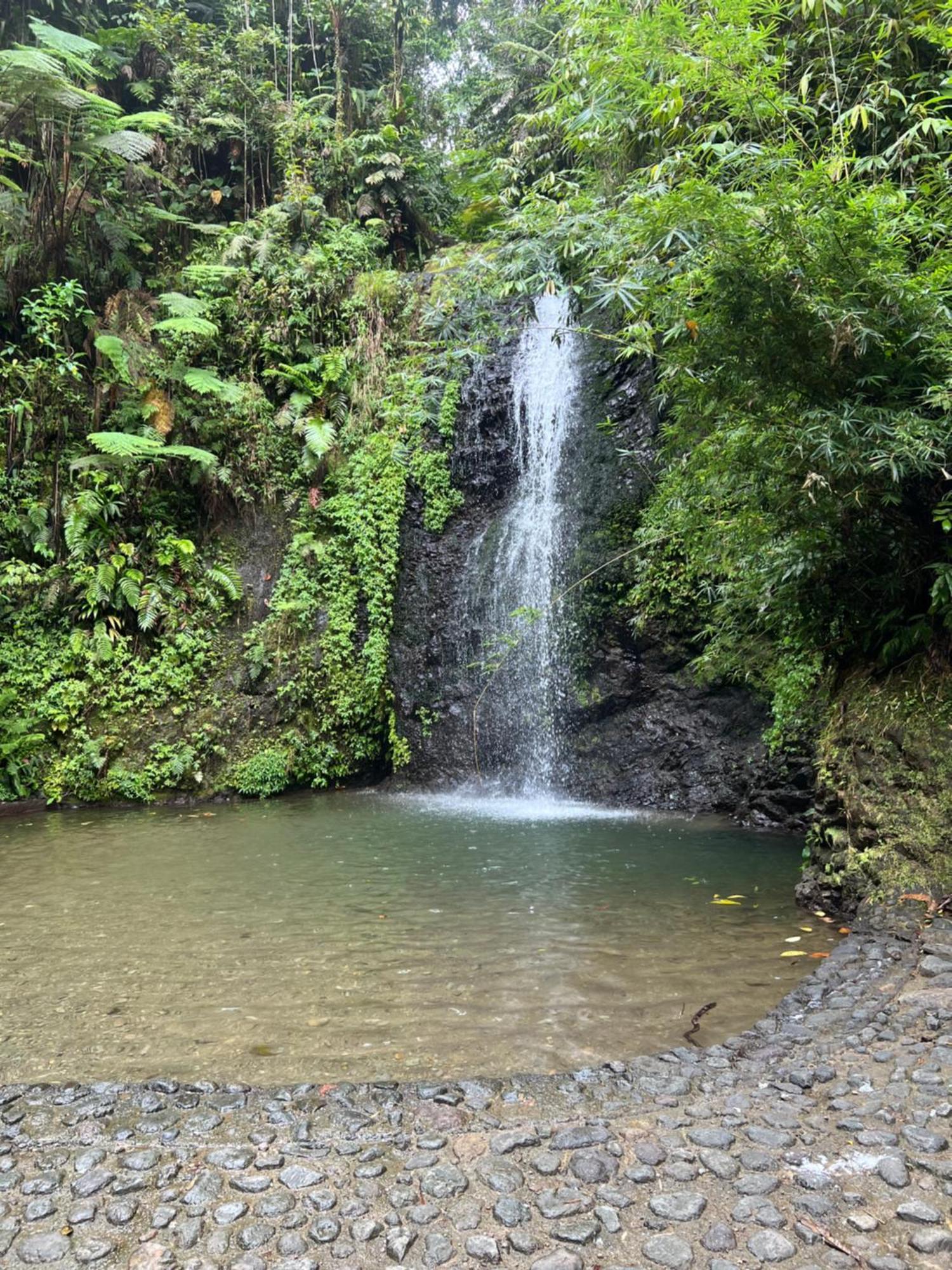 Le Ketmie Nature Et Decouverte Fond-Saint-Denis 外观 照片