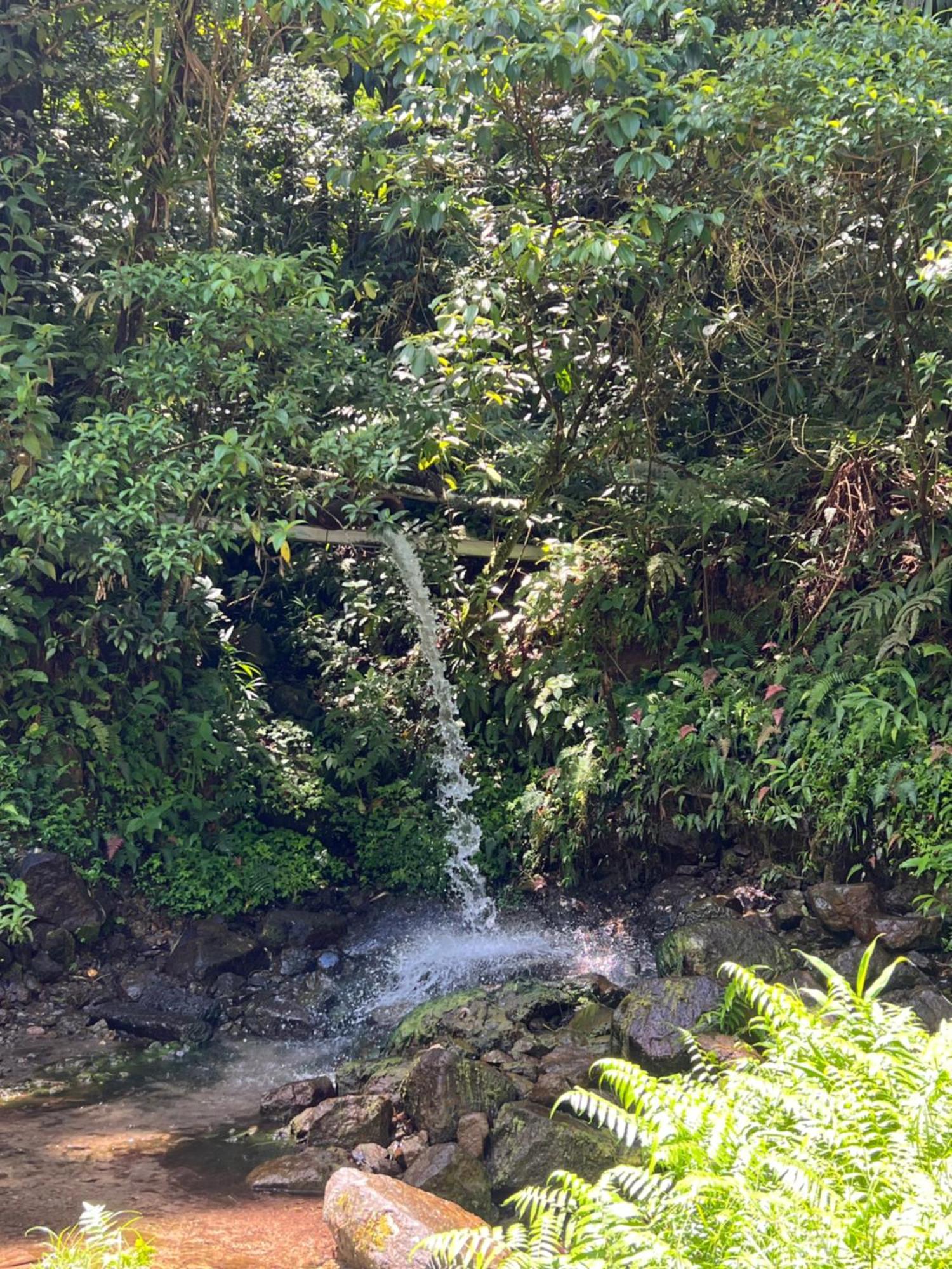 Le Ketmie Nature Et Decouverte Fond-Saint-Denis 外观 照片
