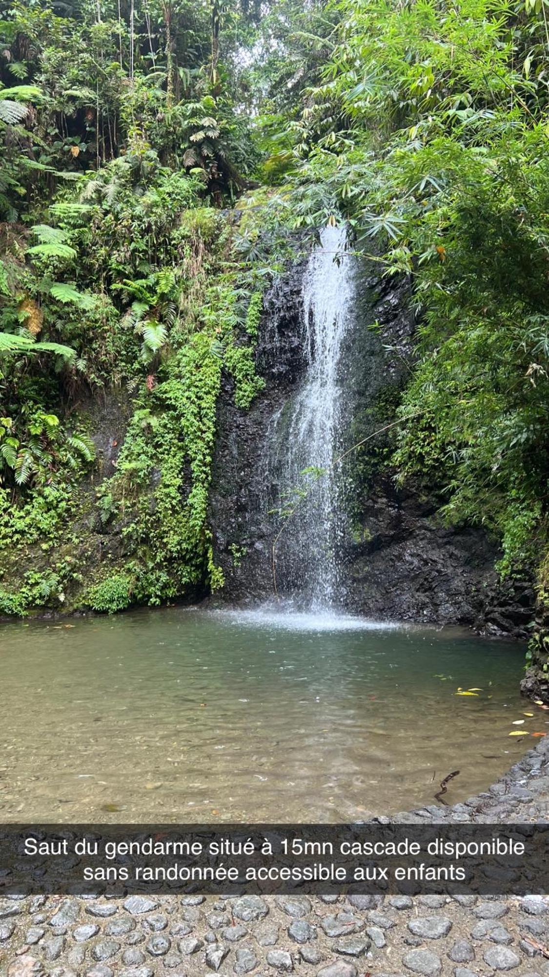 Le Ketmie Nature Et Decouverte Fond-Saint-Denis 外观 照片