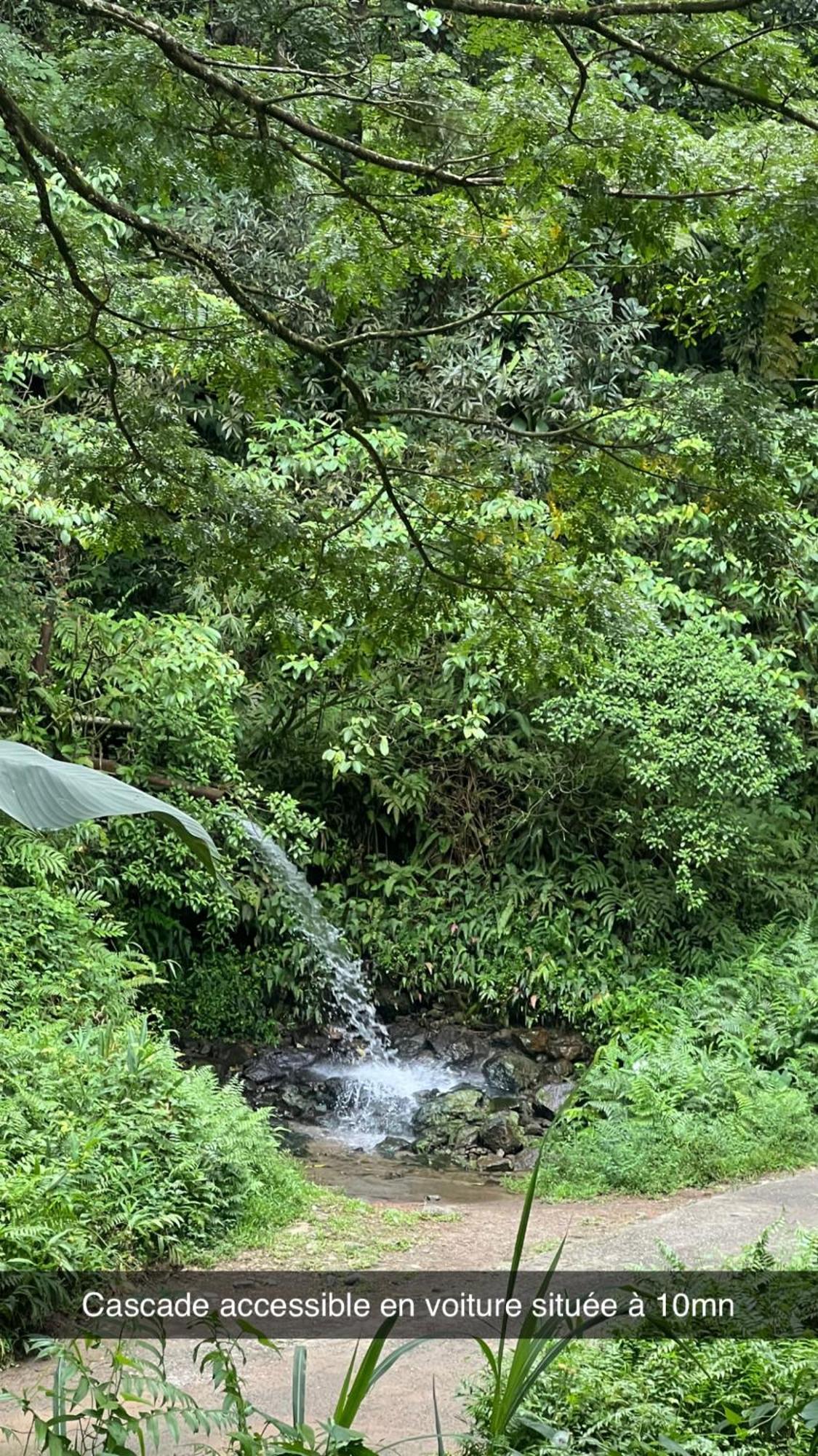Le Ketmie Nature Et Decouverte Fond-Saint-Denis 外观 照片