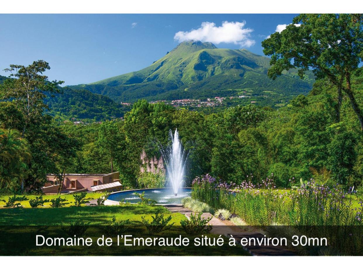 Le Ketmie Nature Et Decouverte Fond-Saint-Denis 外观 照片